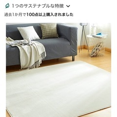 ホットカーペット＋カーペットの画像