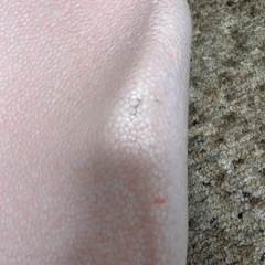 リッチェル ひんやりしないおふろマットR 新生児~6カ月頃の画像