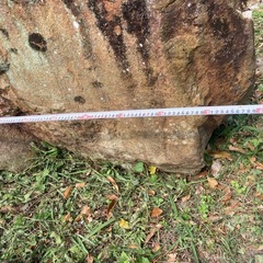 庭石の画像