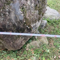 庭石の画像