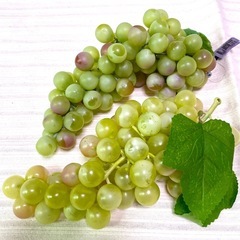 フェイクフルーツ②の画像
