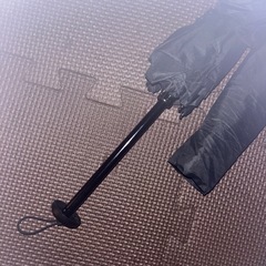 折りたたみ傘、差し上げます。の画像