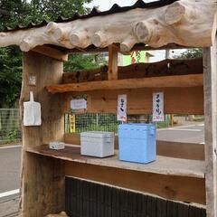 沼崎小学校前で無農薬野菜販売中！！