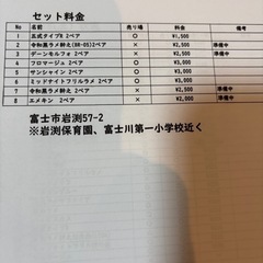 メダカの画像