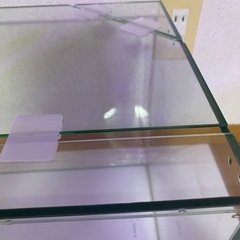 アクアリスタ水槽60㎝の画像