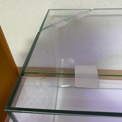 アクアリスタ水槽60㎝の画像