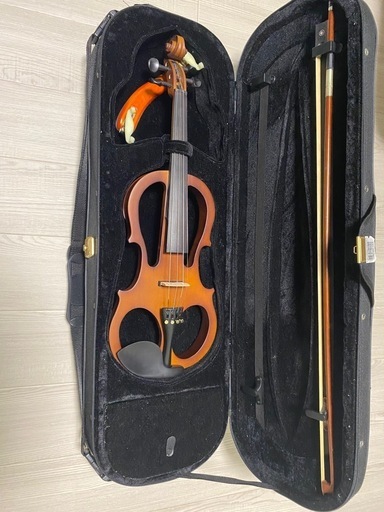 弦楽器、ギター violin