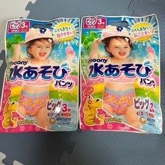 水遊びパンツ　ビッグ