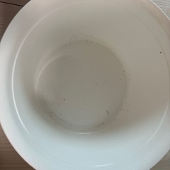 ウォッシュタブ 14L たらいの画像