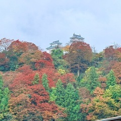 お城と史跡とハイキング！ − 東京都