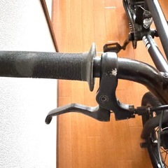 ＢＭXダーカスワン（DURCUSONE SOLO）16ｲﾝﾁ子供用の画像