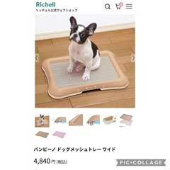 🉐【新品  リッチェル  コロル 】日本製  しつけ用メッシュトレー セミワイド (オレンジ)   【トレー/トイレ容器/犬用品/犬トイレ】  定価¥3.456    の画像