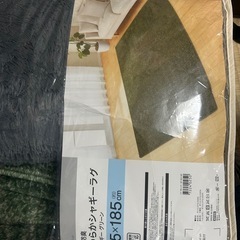 ニトリ絨毯