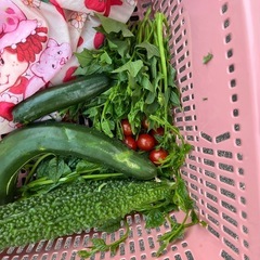 野菜の画像