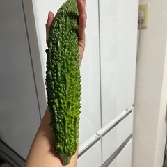 野菜の画像
