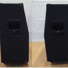 Peavey スピーカー キャビネット 412MS の画像