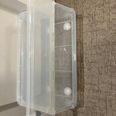 キャリコ2つの画像