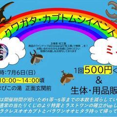 昆虫くじ、生体販売‼️