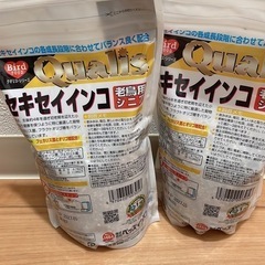 「代理出品です」セキセイインコ老鳥用シニアの画像