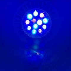 グラッシーレディオ　水槽　RX122CR コーラル　海水魚　珊瑚　LED 照明の画像