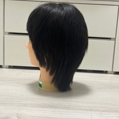 カットウィッグの画像