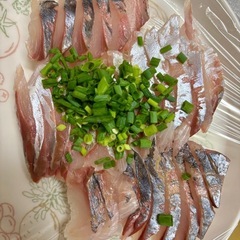 船釣り行きましょう🛥️ - メンバー募集
