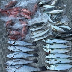 船釣り行きましょう🛥️ - 友達