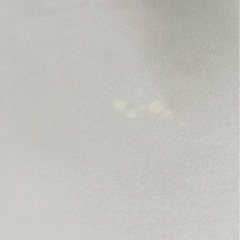 　yogibo ヨギボー マックス　の画像