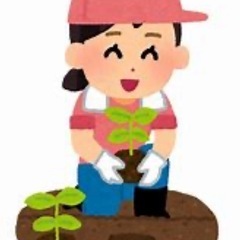 (日払い)7月9日大波止近辺にて花の植替え作業の画像