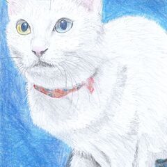 猫絵を描きます