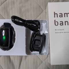 hamon band2の画像