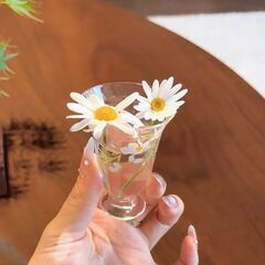 友達募集です！🙇‍♀️ - 青森市