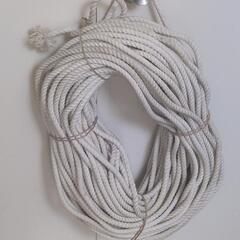 【特売品】・トラックロープ・30m❗の画像