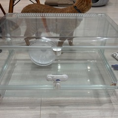 グラスハーモニー600。売約済みの画像