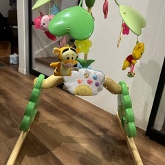 プーメリーの画像