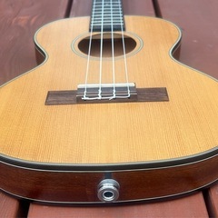 KALA Travel Series KA-SSTU-T ウクレレ テナー
 薄レレの画像
