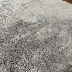 ラグの画像