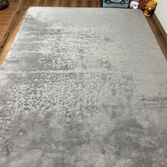 ラグの画像