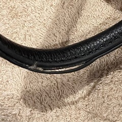 大幅値下げ⤵️【ジャンク】GUSCIO ITALYトートバッグ グリーン　Mの画像