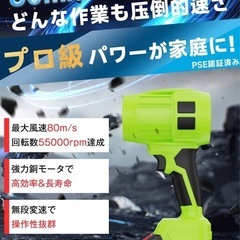 【新品未使用】ブロワー 洗車 バッテリー2個付きの画像