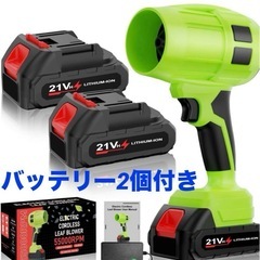 【新品未使用】ブロワー 洗車 バッテリー2個付きの画像