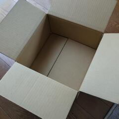ベビーサンローズ　多肉植物　農薬不使用の画像