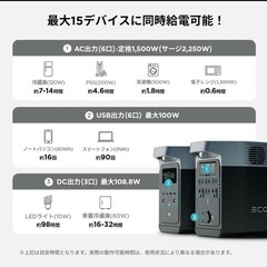 [新品] Ecoflow Delta 2 エコフロー デルタ 2の画像