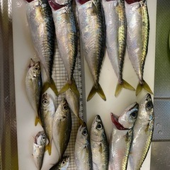 小さい魚しか釣れないε( ε ˙³˙)з
