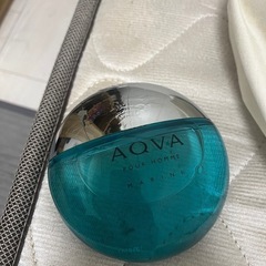 Mr.BurberryとBVLGARI AQUA の画像