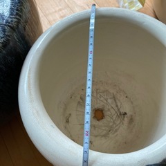 水鉢 陶器 植木鉢の画像