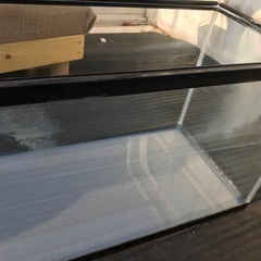60センチ水槽の画像