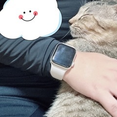 何故か猫様にご縁があるみたいです。