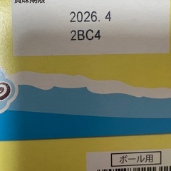 【場所指定あり】ぷくぷくたいチョコの画像