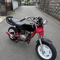 エイプ50 絶好調